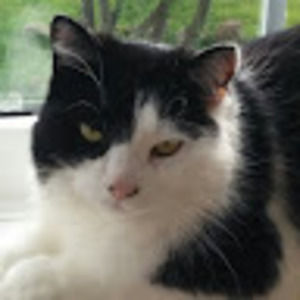 Meet your Posher, Eliza